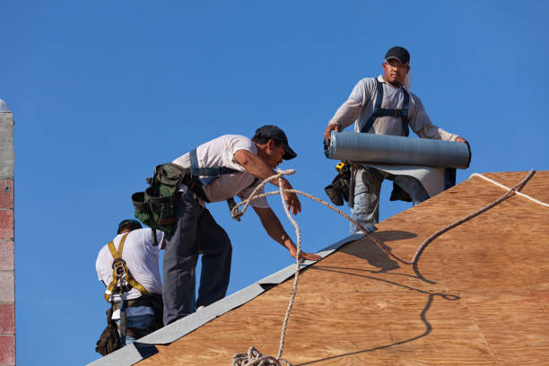 Best Roof Gutter Cleaning  in Ferndale, PA
