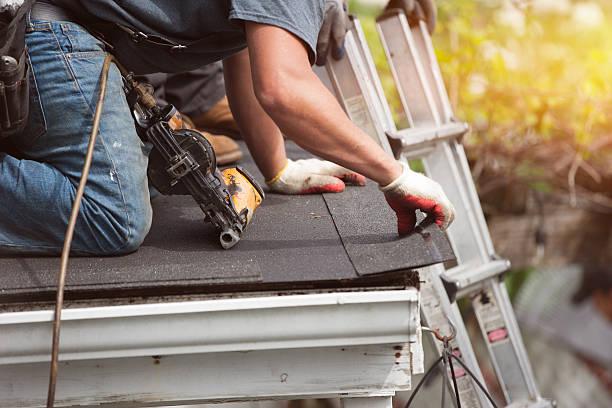Best Gutter Installation and Roofing  in Ferndale, PA